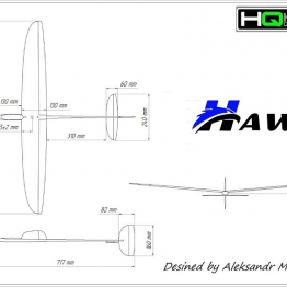 The Hawk Moulded 1M DLG Glider
