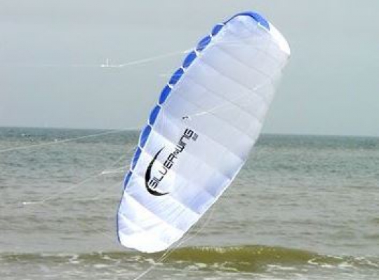 Didakites 21522 Silverwing Power Kite