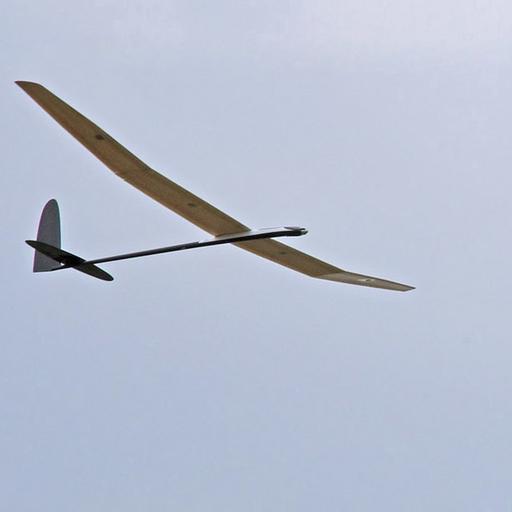 /files/art-hobby/Scalar-gliding.jpg