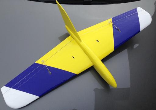 /files/jw-gliders/jw36_2.jpg